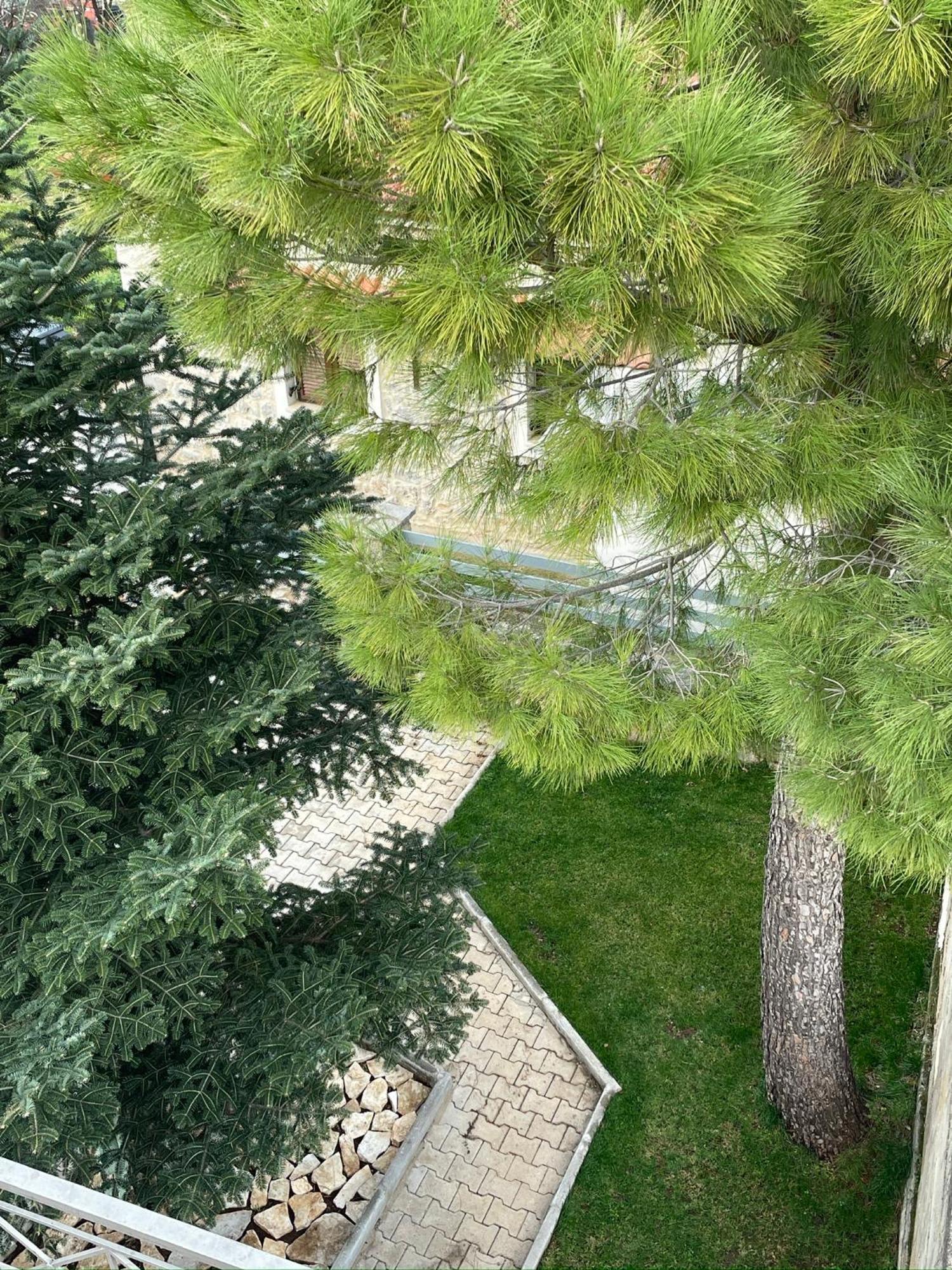 阿姆菲克利亚Alonaki House公寓 外观 照片